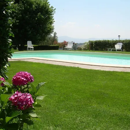 Studio In Montefiascone/latium 26486