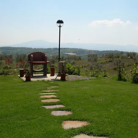 Studio In Montefiascone/latium 26486 Appartement