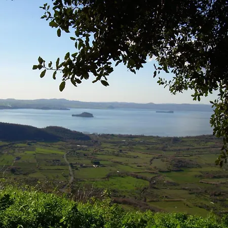 Studio In Montefiascone/latium 26486 Appartement *